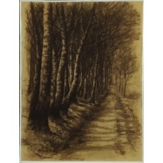 Chramosta 1964 – Lesní cesta